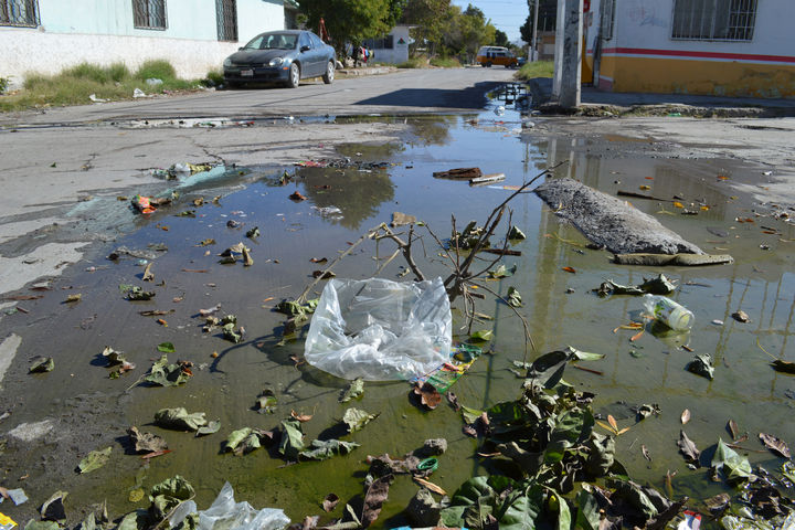 Viven entre brotes de aguas negras El Siglo de Torreón