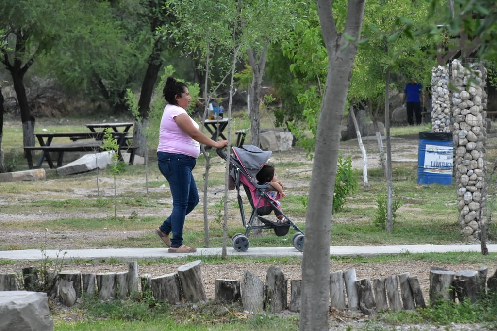 Realizarán un censo de árboles en Ecoparque de Monclova El Siglo de