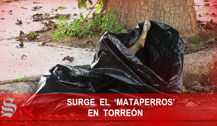 Surge el mataperros en Torreón