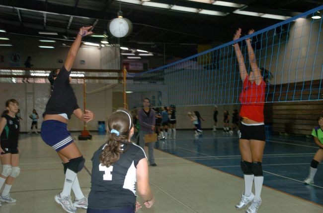 Inicia Hoy La Copa Torre N De Voleibol El Siglo De Torre N