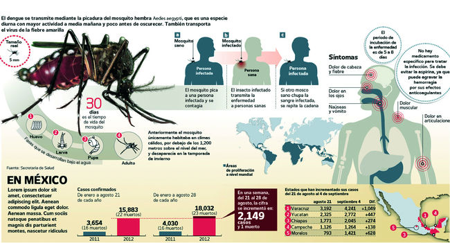 Alerta En 170 Municipios Por Dengue