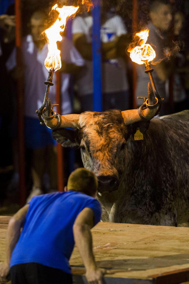 Festejos Taurinos En La Comunidad Valenciana