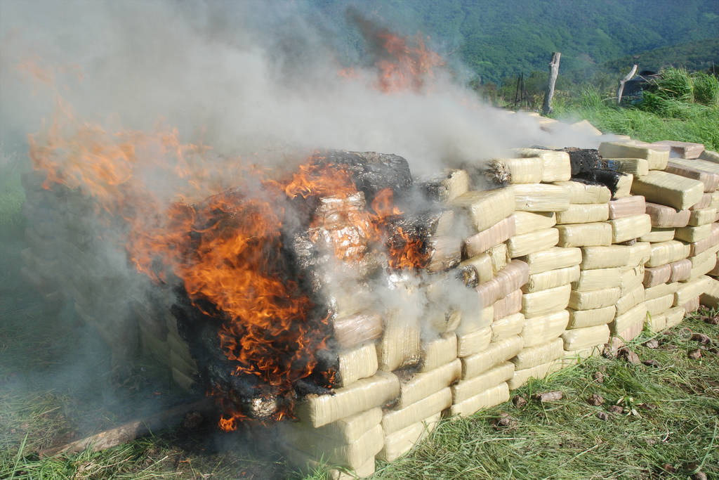 Queman casi 3 mil plantíos de droga El Siglo de Torreón