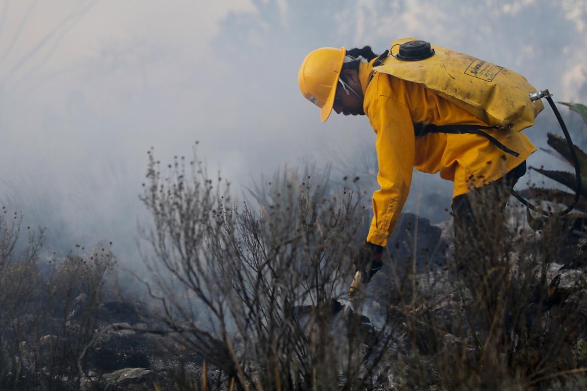 Concientiza Municipio De Saltillo Para Evitar Incendios Forestales El