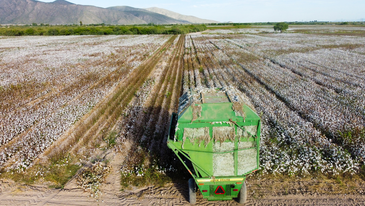 Inciden Programas Prioritarios De Agricultura En El Bienestar Rural