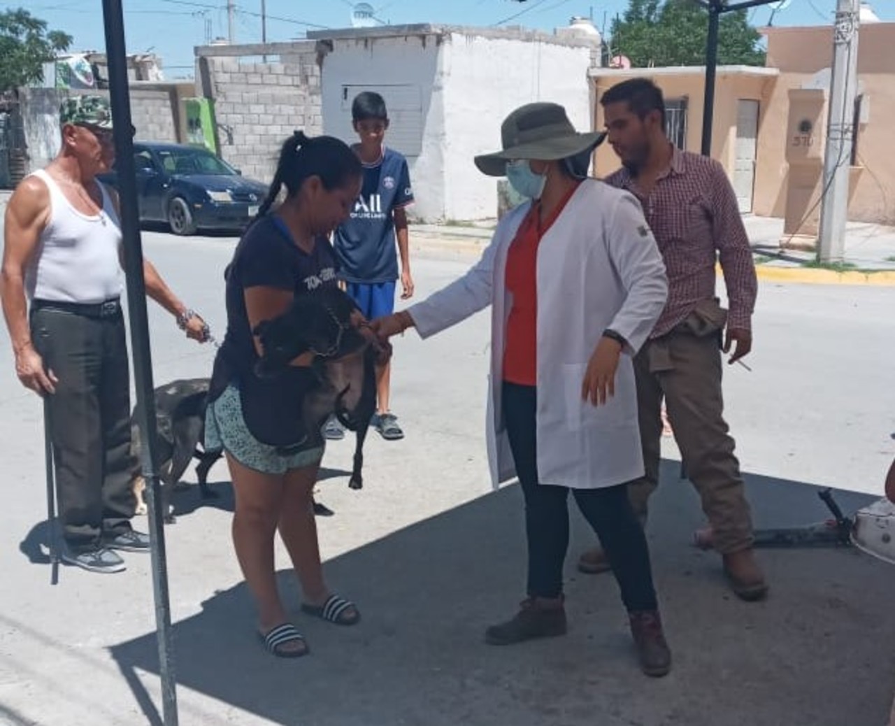 Coahuila Suma Tres Muertes Por Rickettsiosis En El Siglo De Torre N