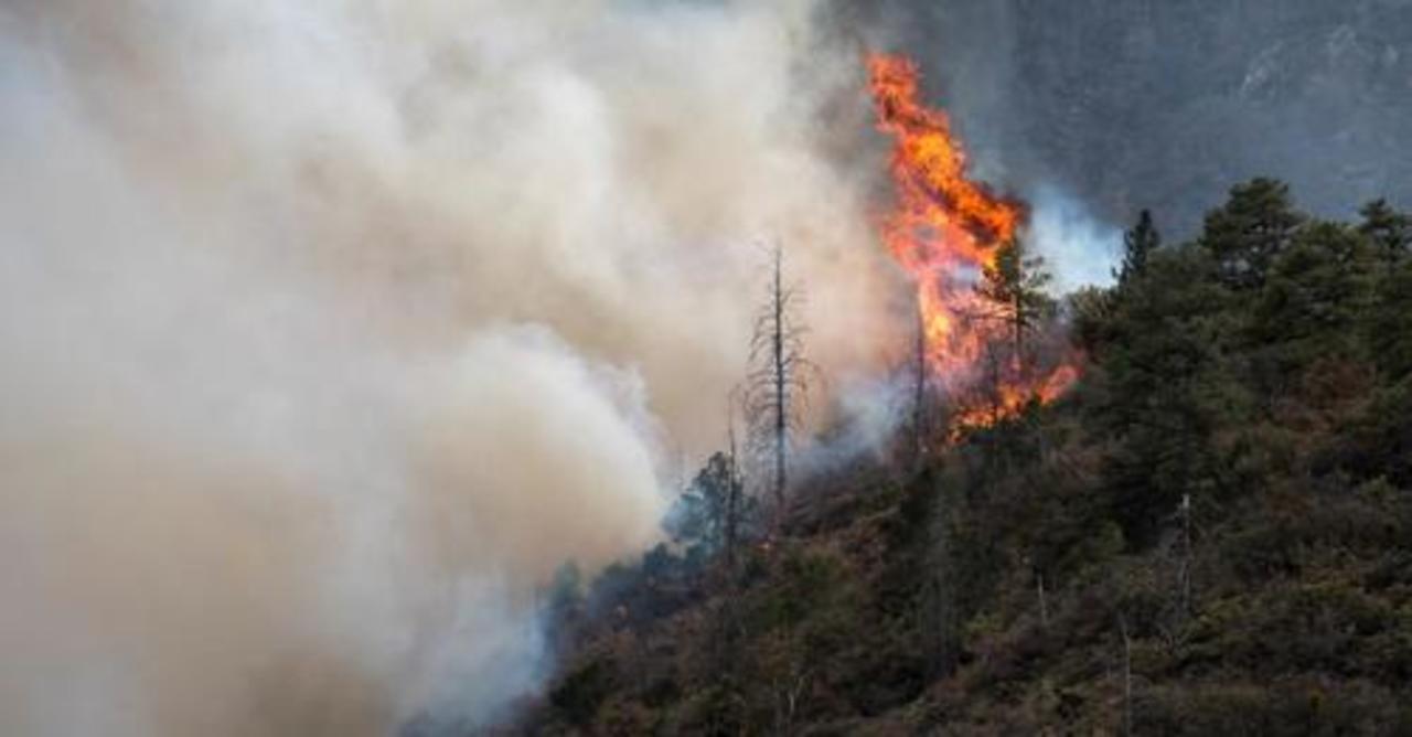 Suman 120 incendios forestales en Durango El Siglo de Torreón