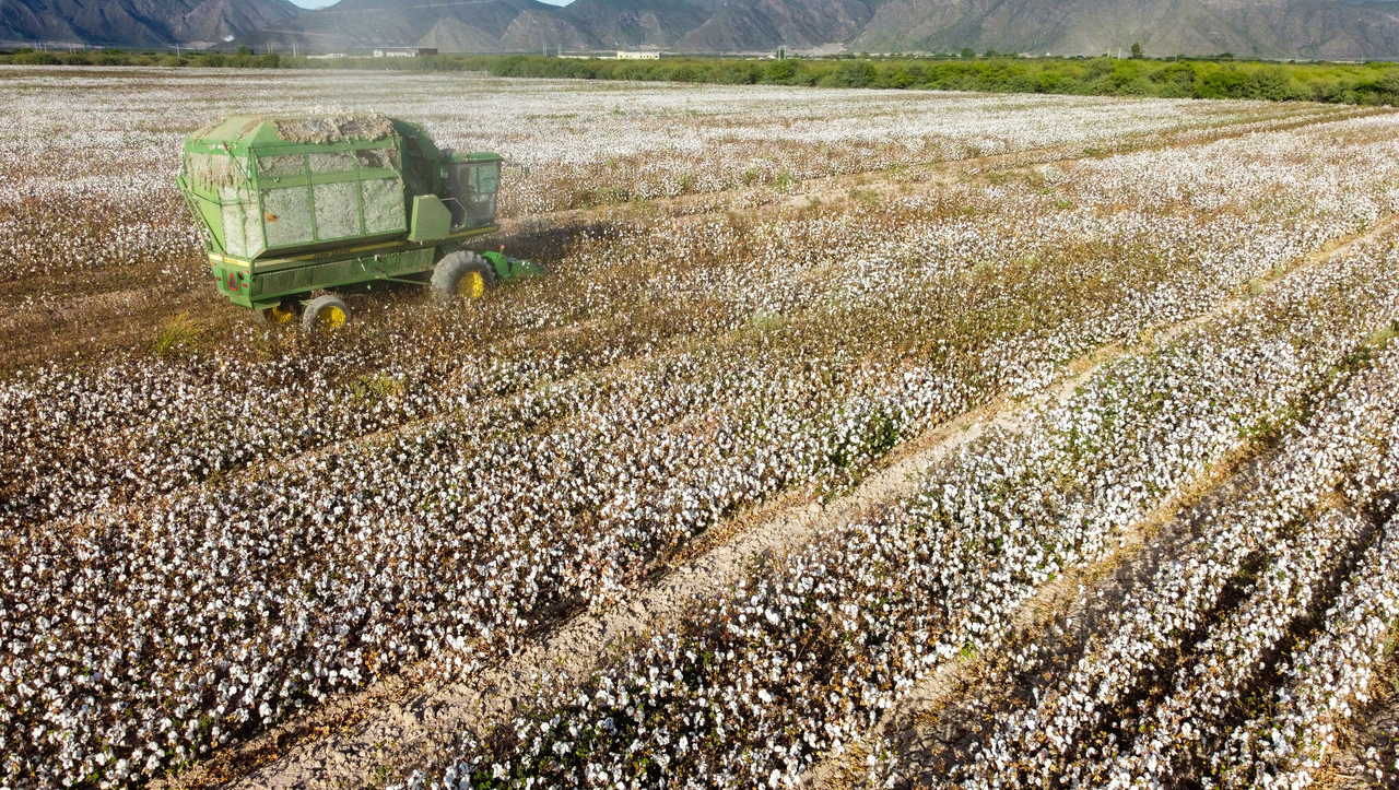 Rompen récord exportaciones agro en 2023 superan los 51 mmdd El