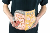 Aseguran que microbiota intestinal también depende de la dieta que se sigue