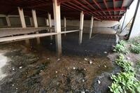 Estación Nazas del Metrobús, rumbo al olvido