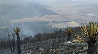 Controlan en un 60 % incendio forestal en Bosques de Huachichil de Arteaga