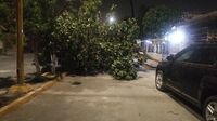 'Lluvia lagunera' deja daños en Gómez Palacio