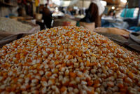 Ucrania advierte que comprar 'grano robado' a Rusia es ser cómplice de crímenes