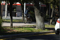 Consejo de Vialidad propone que ciclistas convivan con peatones en camellón de calzada Colón