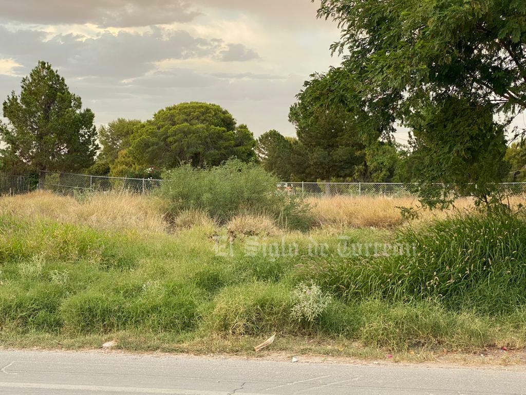 Riesgo por terrenos baldíos en mal estado en el sector del Campestre en Torreón