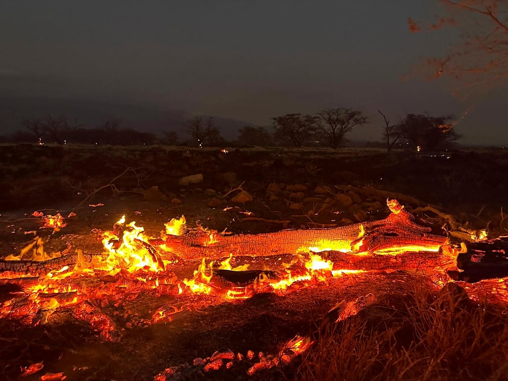 Por incendios, Estados Unidos declara zona de desastre en Hawái