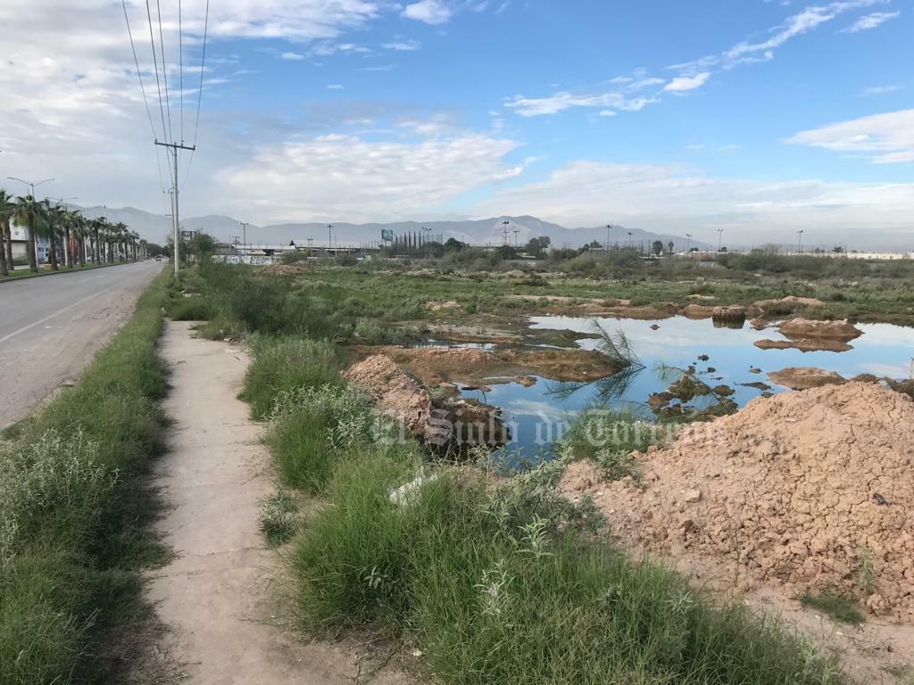 ¡Hasta con patos! Denuncian laguna de presuntas aguas grises en Torreón