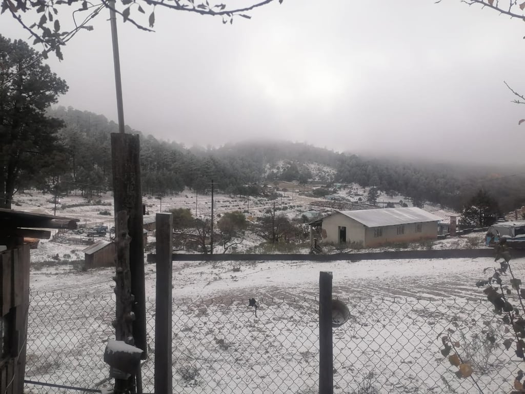 Postales de ensueño: las fotografías de las nevadas en Durango