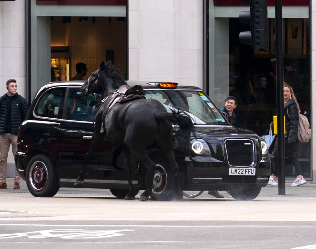 A horse collides with a taxi in London near Aldwych, on Wednesday April 24, 2024. Several military horses bolted during routine exercises near King Charles III's main residence in London on Wednesday and ran loose through the center of the city, injuring at least four people and colliding with vehicles during the morning rush hour. (Jordan Pettitt/PA via AP)