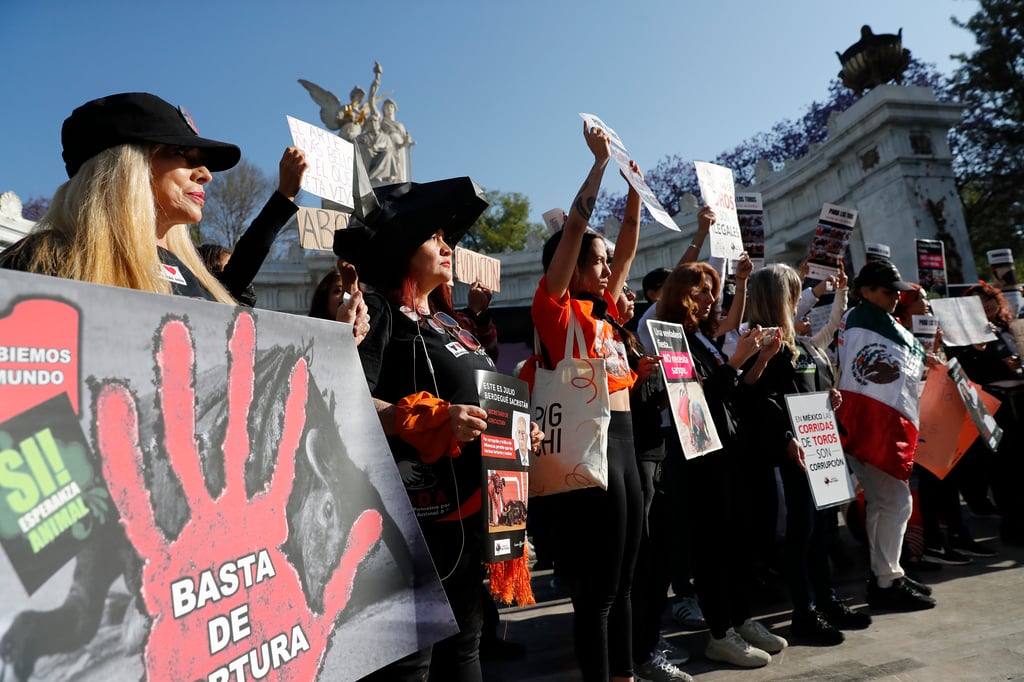 Congreso de Ciudad de México aprueba corridas de toros 'sin violencia'