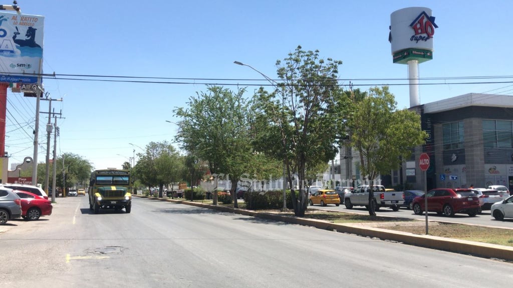 Evalúan árboles antes de ser retirados por obra del Sistema Vial Abastos Independencia