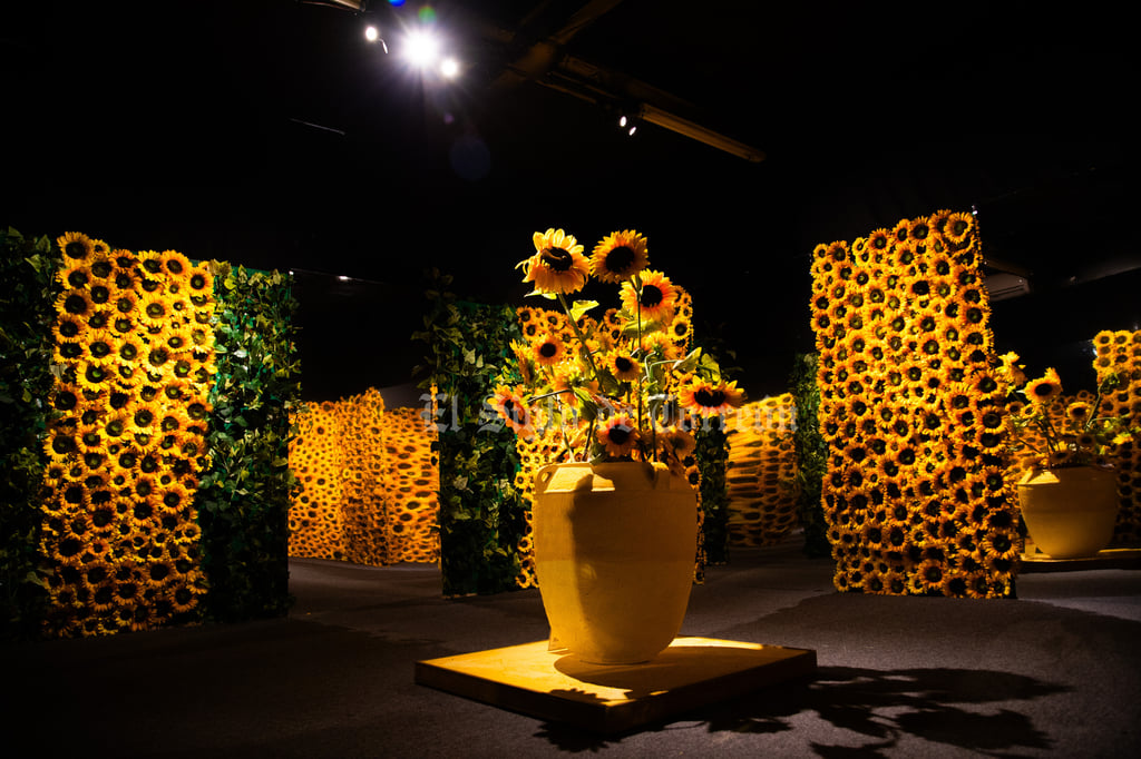 Hoy arranca la muestra inmersiva de Van Gogh en Torreón