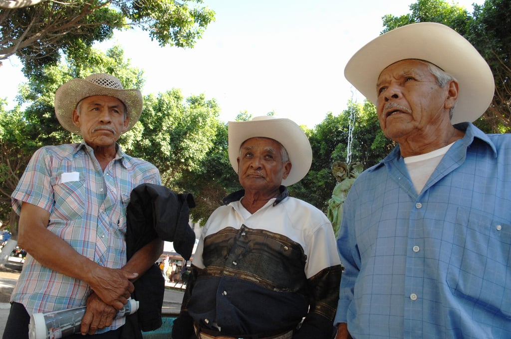 CARDENCHEROS CANTO CARDENCHE