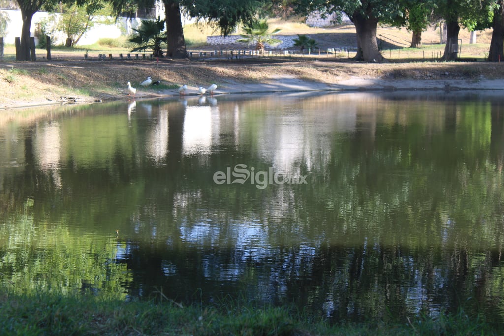 Club Campestre: el corazón verde y social de Gómez Palacio