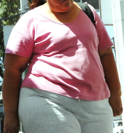 Las mujeres mexicanas mayores de 20 años presentan una prevalencia de obesidad de 34.5%, mientras que los varones es de 24.2%. (Archivo)
