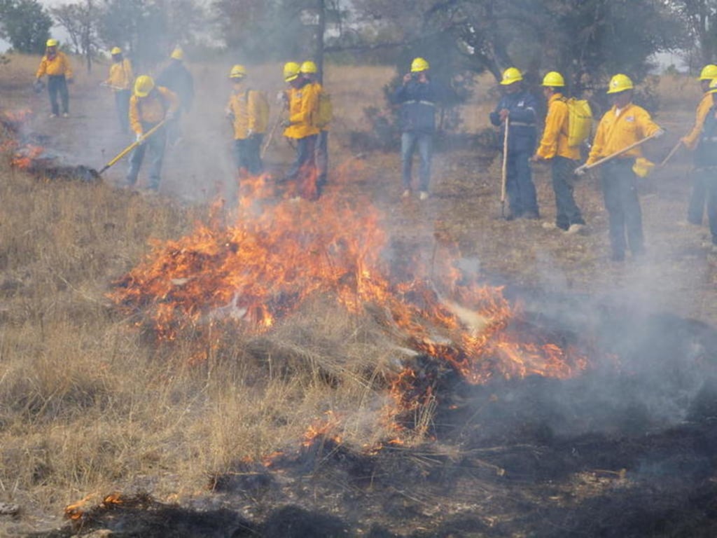 Este proyecto tiene un gran impacto en el país para capacitar al personal de la Conafor para priorizar las acciones de restauración de ecosistemas forestales y la prevención. (EL SIGLO DE TORREÓN)