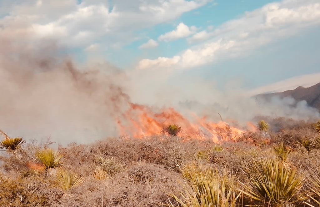 Fuera de control, incendio forestal en Arteaga
