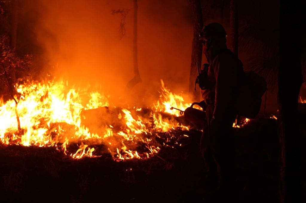 Durango es la segunda entidad federativa con más incendios activos, después de Guerrero y antes de Chihuahua. (EL SIGLO DE TORREÓN)