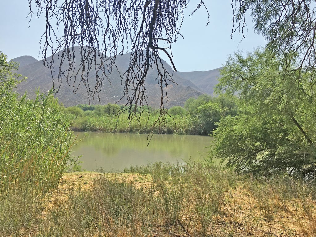 La Conagua informó que se han erogado 164 millones 25 mil 603 pesos para Agua Saludable, que significará una inversión total de 14 mil 92 millones 807 mil 638 pesos. (EL SIGLO DE TORREÓN)