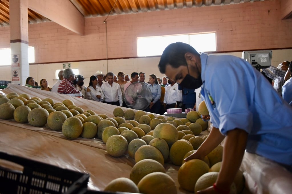 A cada productor se le entregará 5 mil pesos para los insumos. (EL SIGLO DE TORREÓN)