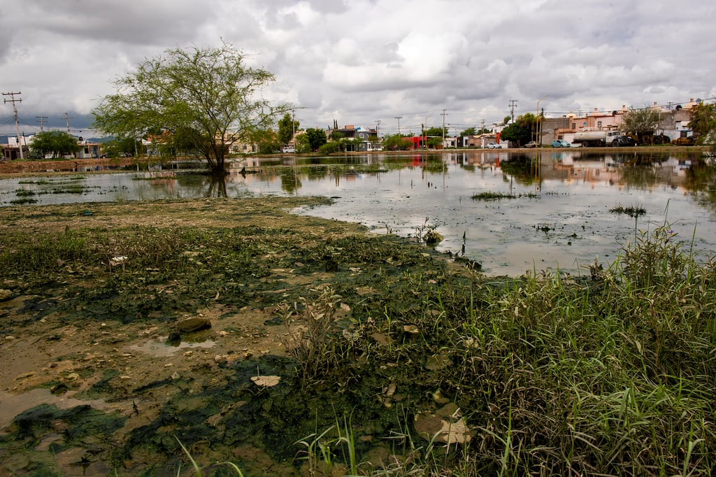 Colonos manifiestan 'extrañamiento' ante constantes inundaciones.