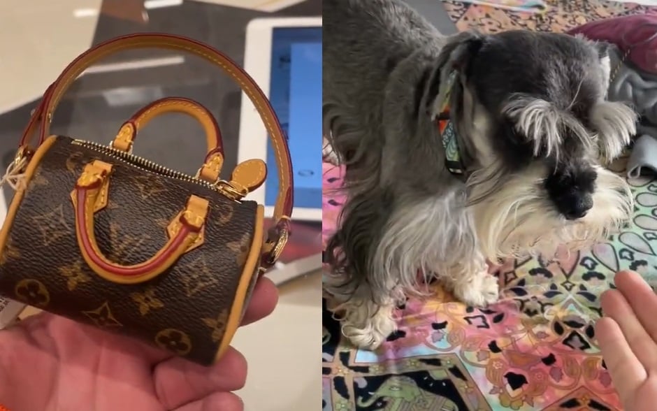 El bolso Louis Vuitton que cuesta millones para recoger popó de su mascota  - Gente - Cultura 