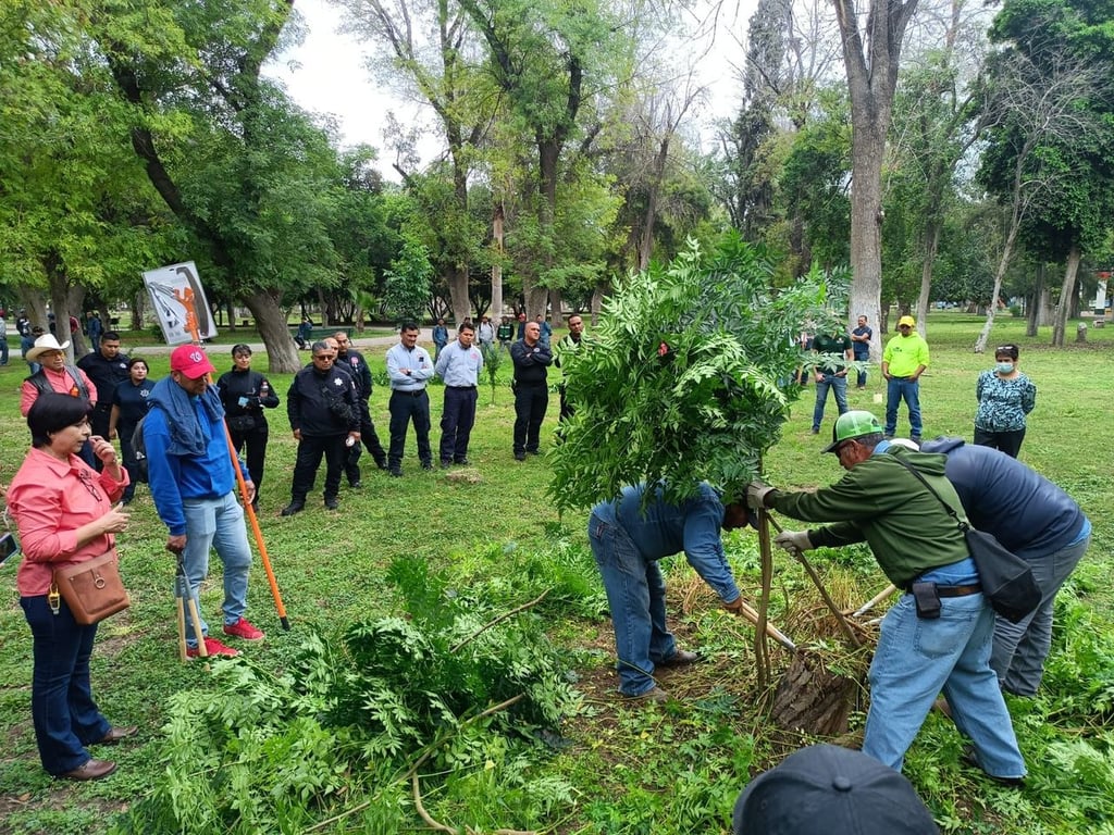 Trabajadores municipales recibieron un taller sobre podas y talas de árboles. (EL SIGLO DE TORREÓN)
