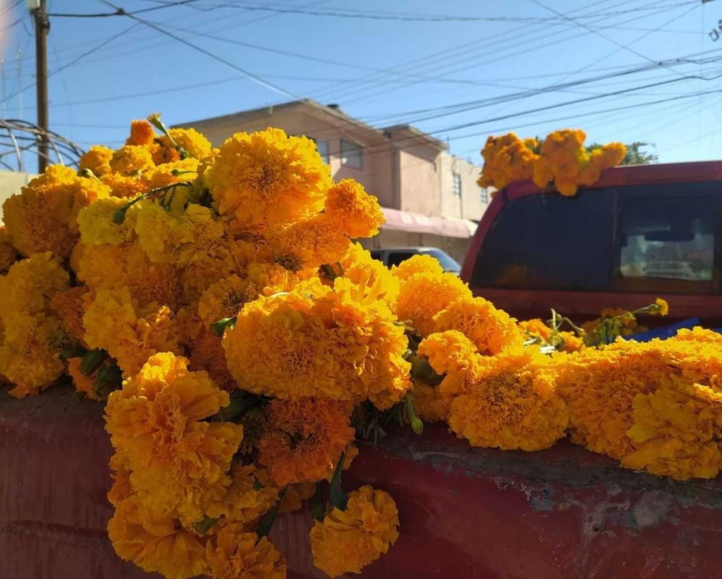 Desde días atrás, los comerciantes se instalaron en la plaza principal para ofrecer la flor. (EL SGILO DE TORREÓN)