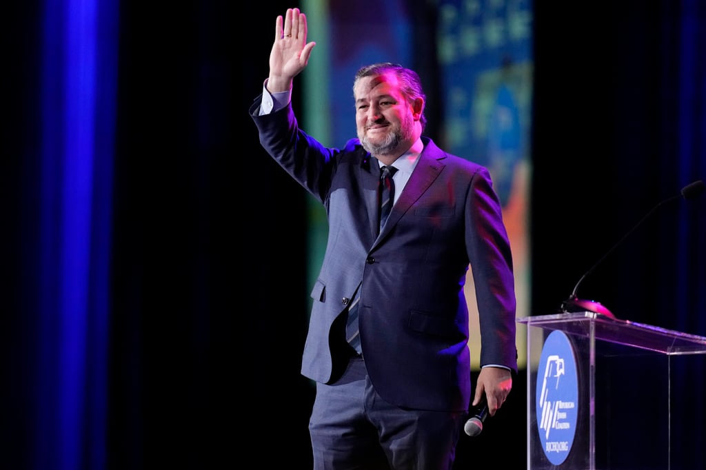 El senador republicano por Texas, Ted Cruz, advirtió que México enfrenta la erosión de su sociedad por el 'movimiento antiamericano'. (ARCHIVO)