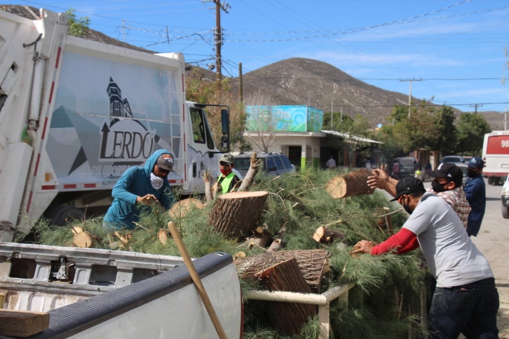 Programa de Poda Libre será durante todo enero y febrero en Lerdo - El Siglo