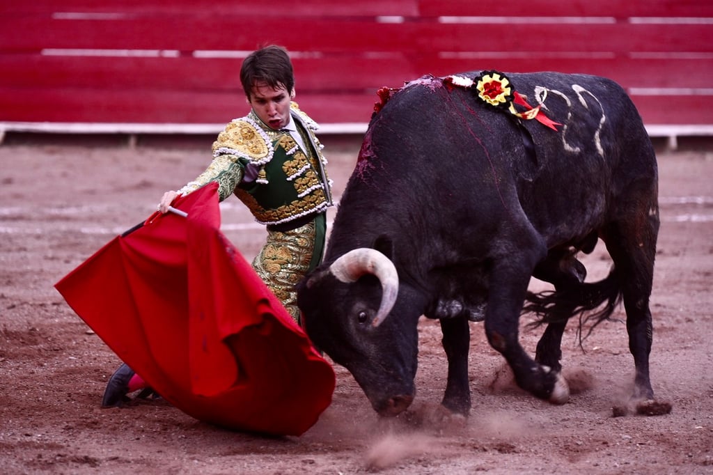 Buena cantidad de festejos en México, toreará Arturo durante las primeras semanas del año.