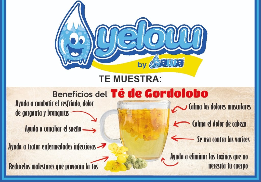 Beneficios Del Té De Gordolobo El Siglo De Torreón 3022