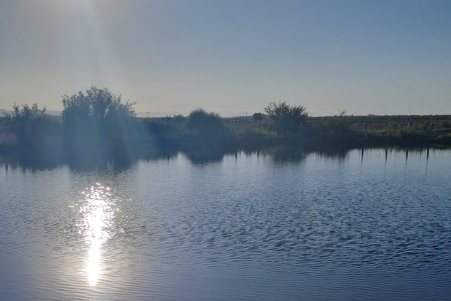 (EL SIGLO DE TORREÓN)