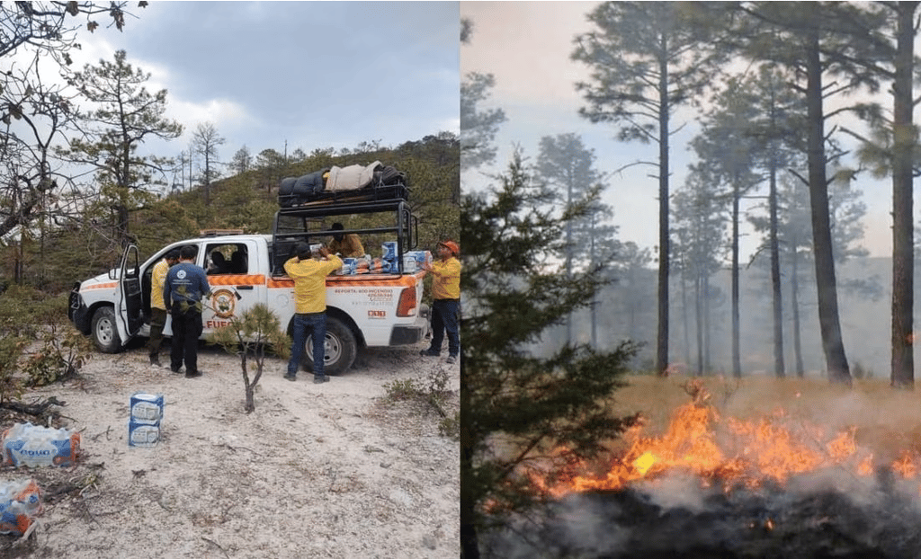 Incendios Forestales En Chihuahua Afectan Más De 5 Mil Hectáreas El Siglo De Torreón 1831