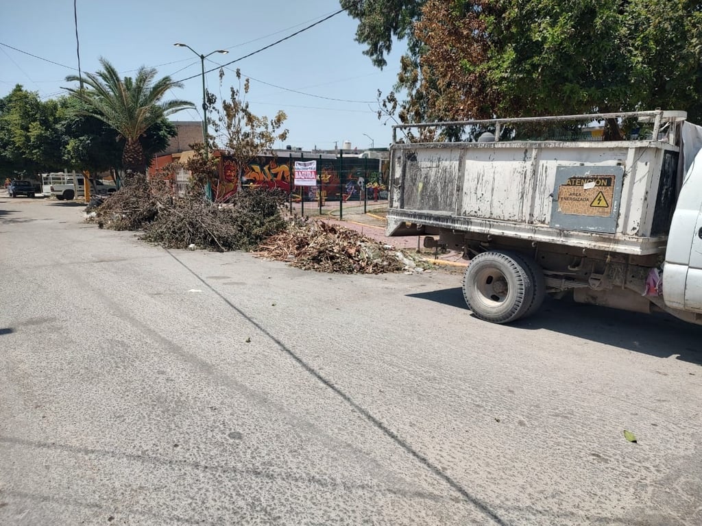 Vecinos y carromateros aprovecharon la oportunidad, acudiendo al lugar a depositar sus desechos. (CORTESÍA)