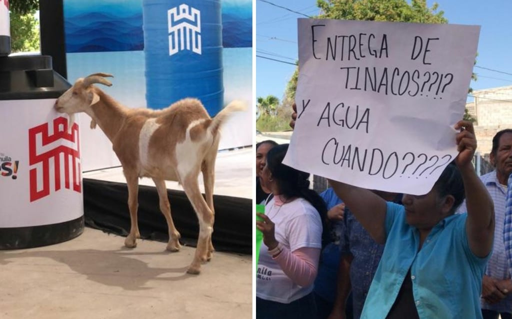 Una chiva se coló en un evento de entrega de tinacos en el ejido La Perla de Torreón. (FERNANDO COMPEÁN)