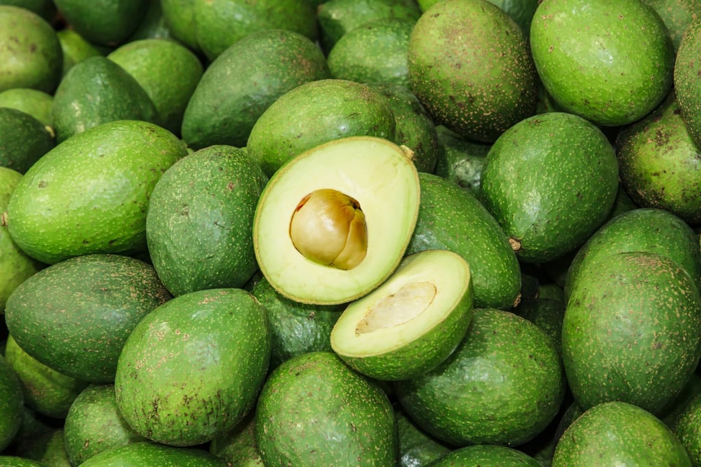 El precio promedio del aguacate se desplomó 44.3% durante junio, luego de abaratarse 48.4% en mayo.