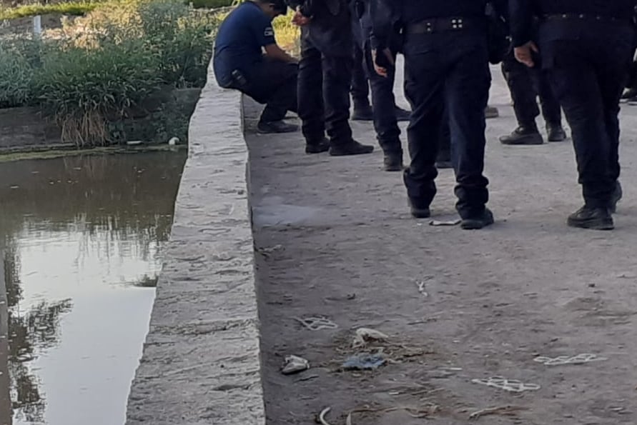 Fue cerca de las 15:30 horas del viernes que se recibió el reporte en el que se indicaba que, en un canal de riego del ejido Vida Nueva de San Pedro, se había registrado el accidente.