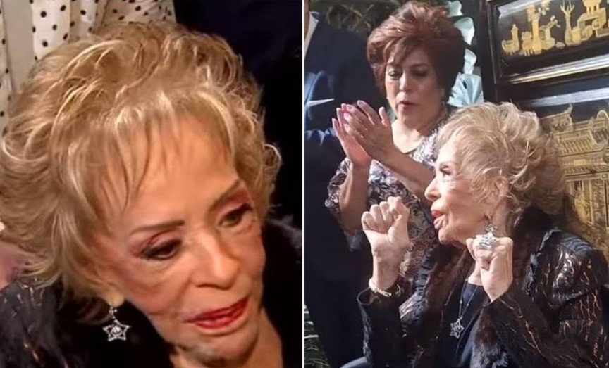 Silvia Pinal Celebra Sus 93 Años De Vida Junto A Sus Hijos | El Siglo ...