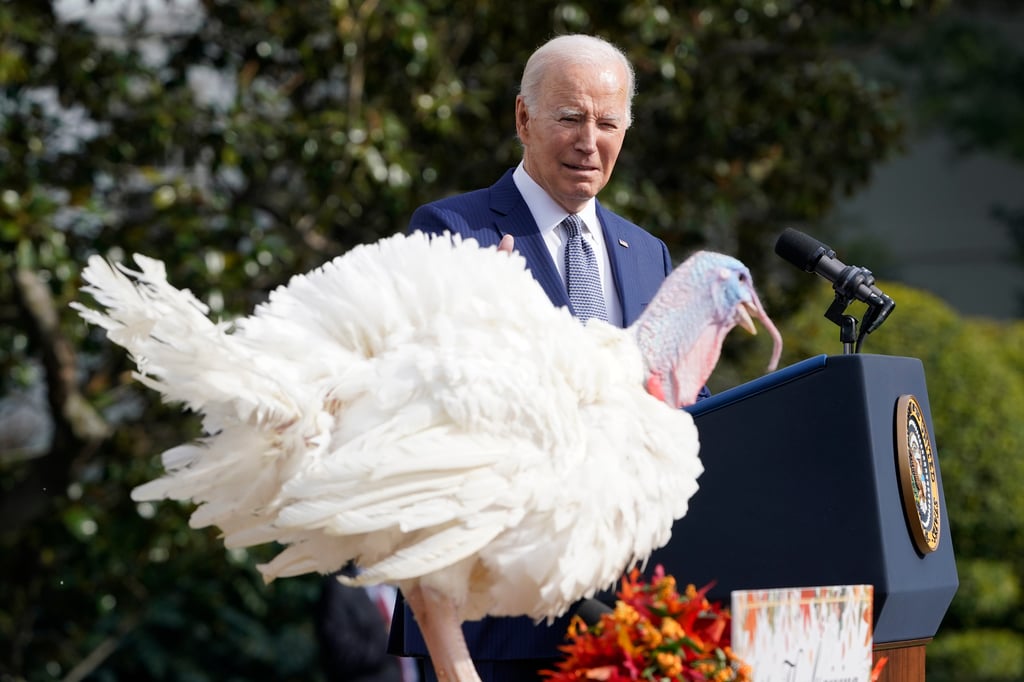 Biden indultó a los dos pavos en un evento en los jardines de la Casa Blanca en el que dio un breve discurso con chistes y chascarrillos. (AP)